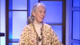 Dr. Jane Goodall, Primatologist and UN Messenger of Peace